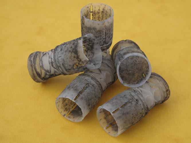 Romagnola fired plastic wads- shot cup petals mainly intact
